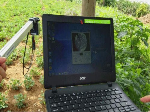 植物冠層圖像分析儀可以測量什么?